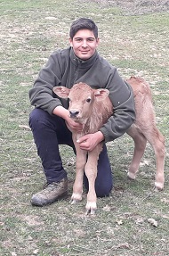 calabria agricola 3 s
