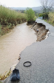 verdecalabria 3