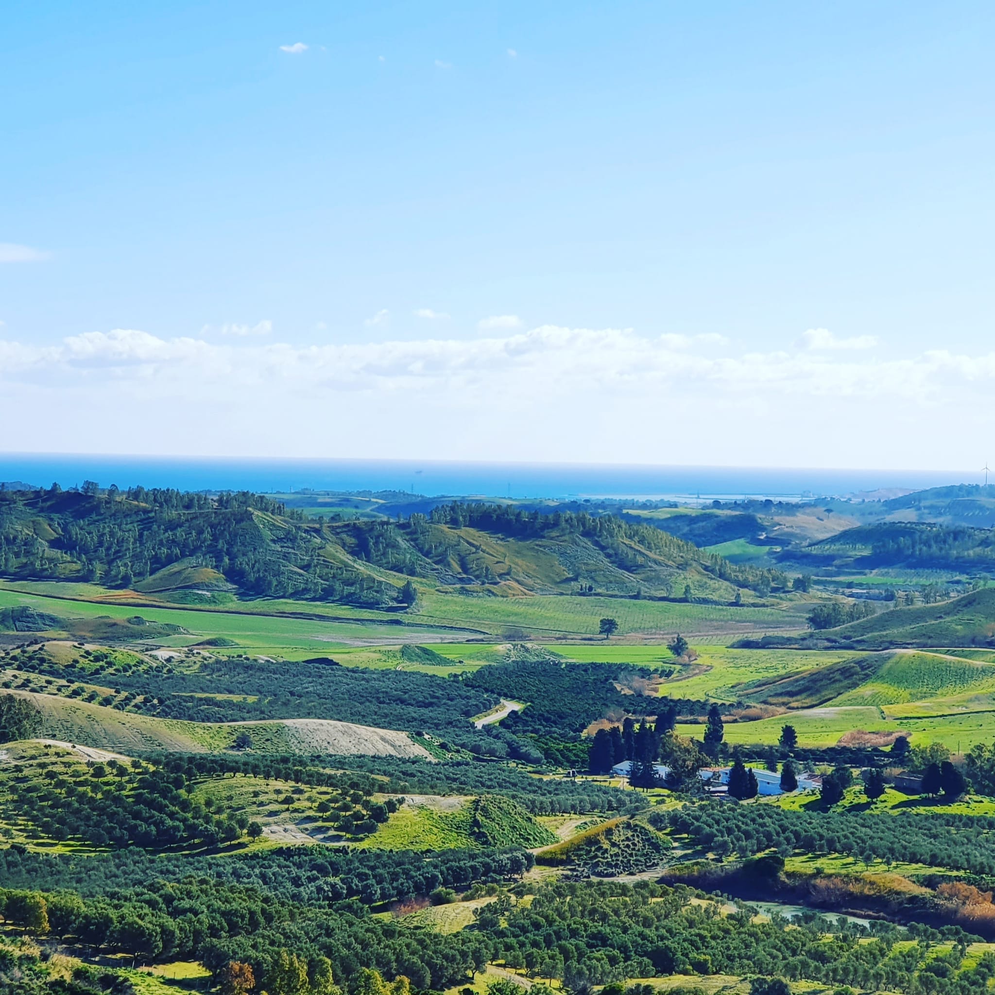 Foto aziende