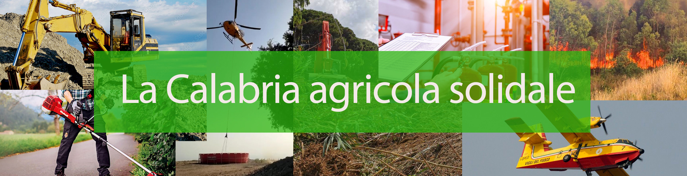 La calabria agricola solidale