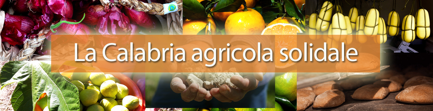 banner la calabria agricola solidale