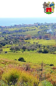 baccellieri 1