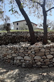 preteroti 2