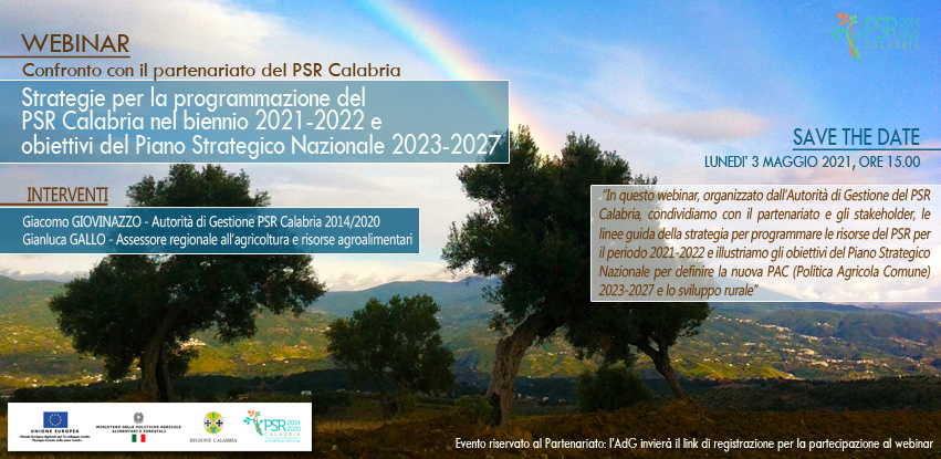 def webinar psr bozza 2 1