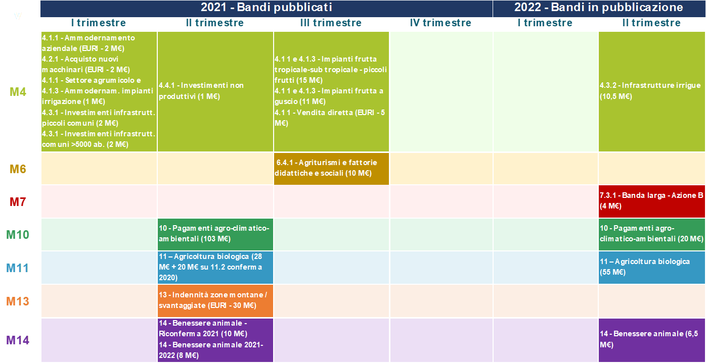 cronoprogramma 11 2021