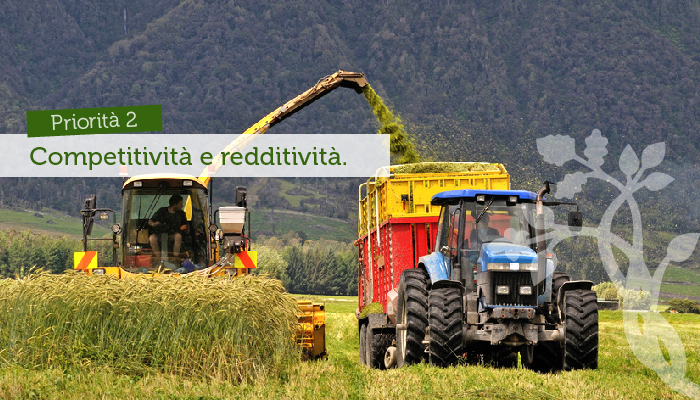 Redditività e competitività 