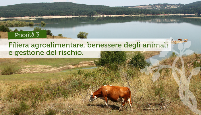 Organizzazione della filiera agroalimentare