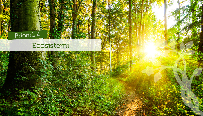 Valorizzazione degli ecosistemi